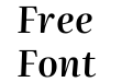 Literata 60pt Semibold Italic Literata 60pt Semibold Italic