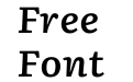 Literata 7pt Semibold Italic Literata 7pt Semibold Italic