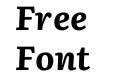 Literata Bold Italic Literata Bold Italic