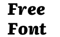 Literata Extra Bold Italic Literata Extra Bold Italic