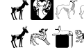 M AnimalsK M AnimalsK