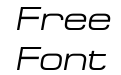 Micro ExtendFLF Italic Micro ExtendFLF Italic