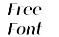 Modesticdisplay Bold Italic Modesticdisplay Bold Italic