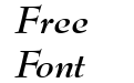 MonitorSSK Bold Italic MonitorSSK Bold Italic