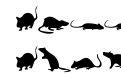 Naughtymouse Regular Naughtymouse Regular