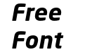 Neo SansW1G Bold Italic Neo SansW1G Bold Italic
