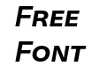 NeogroteskSC Bold It NeogroteskSC Bold It