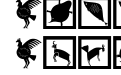 New Cave Drawings Zwei New Cave Drawings Zwei
