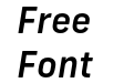 New Frank Medium Italic New Frank Medium Italic