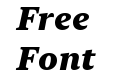 New York Small Heavy Italic