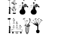 Nippon Florales Nippon Florales