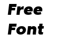 Noir Std Bold Italic