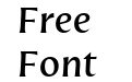 Nomada Incise Medium Italic Nomada Incise Medium Italic