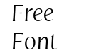 Nomada Incise Thin Italic Nomada Incise Thin Italic