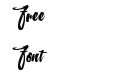 Northshire Script Slant Northshire Script Slant