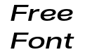 Nuber Next Demi Bold Extended Italic Nuber Next Demi Bold Extended Italic