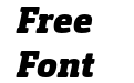 Orgon Slab Black Italic Orgon Slab Black Italic