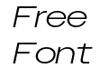 Owners X Wide Light Italic