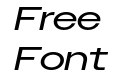 OwnersX Wide Regular Italic