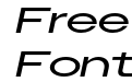 OwnersXX Wide Regular Italic