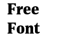 PFDIN Serif Black PFDIN Serif Black