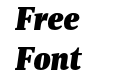 PFDIN Serif X Black Italic PFDIN Serif X Black Italic