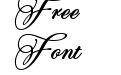 Perfecto Calligraphy Bold Perfecto Calligraphy Bold