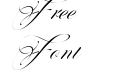 Perfecto Calligraphy Thin Italic Perfecto Calligraphy Thin Italic