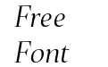 Plaisir Light Italic Plaisir Light Italic