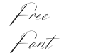 Planter Cactus DEMO VERSION Italic Planter Cactus DEMO VERSION Italic