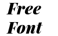 Playfair Display Black Italic Playfair Display Black Italic