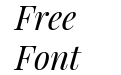 Playfair Display Italic Playfair Display Italic