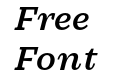 Practical Serif Bold Italic Practical Serif Bold Italic