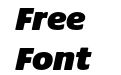 Praxis Next Ultra Italic Praxis Next Ultra Italic