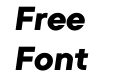 Primeform Pro Black Italic Primeform Pro Black Italic