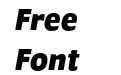 ProgramOT Bold Italic ProgramOT Bold Italic