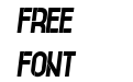 Regular Italic Regular Italic