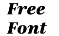 Richmond Text Black Italic Richmond Text Black Italic