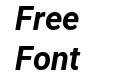 Roboto Bold Italic Roboto Bold Italic