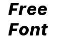 SF Pro Text Heavy Italic SF Pro Text Heavy Italic