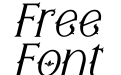 SNAPFINGER Italic SNAPFINGER Italic