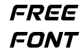 SPEEDO Italic SPEEDO Italic