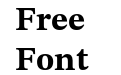 STIX Two Text Bold STIX Two Text Bold