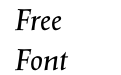 Salden Italic Salden Italic