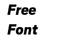 Scout Black Italic Scout Black Italic