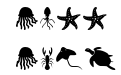 Sea Life Sea Life