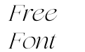 Selofier Italic Selofier Italic