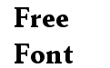 Senlot Serif Norm Black