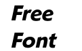 ShinnRR Bold Italic ShinnRR Bold Italic