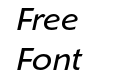 ShinnRR Book Italic ShinnRR Book Italic